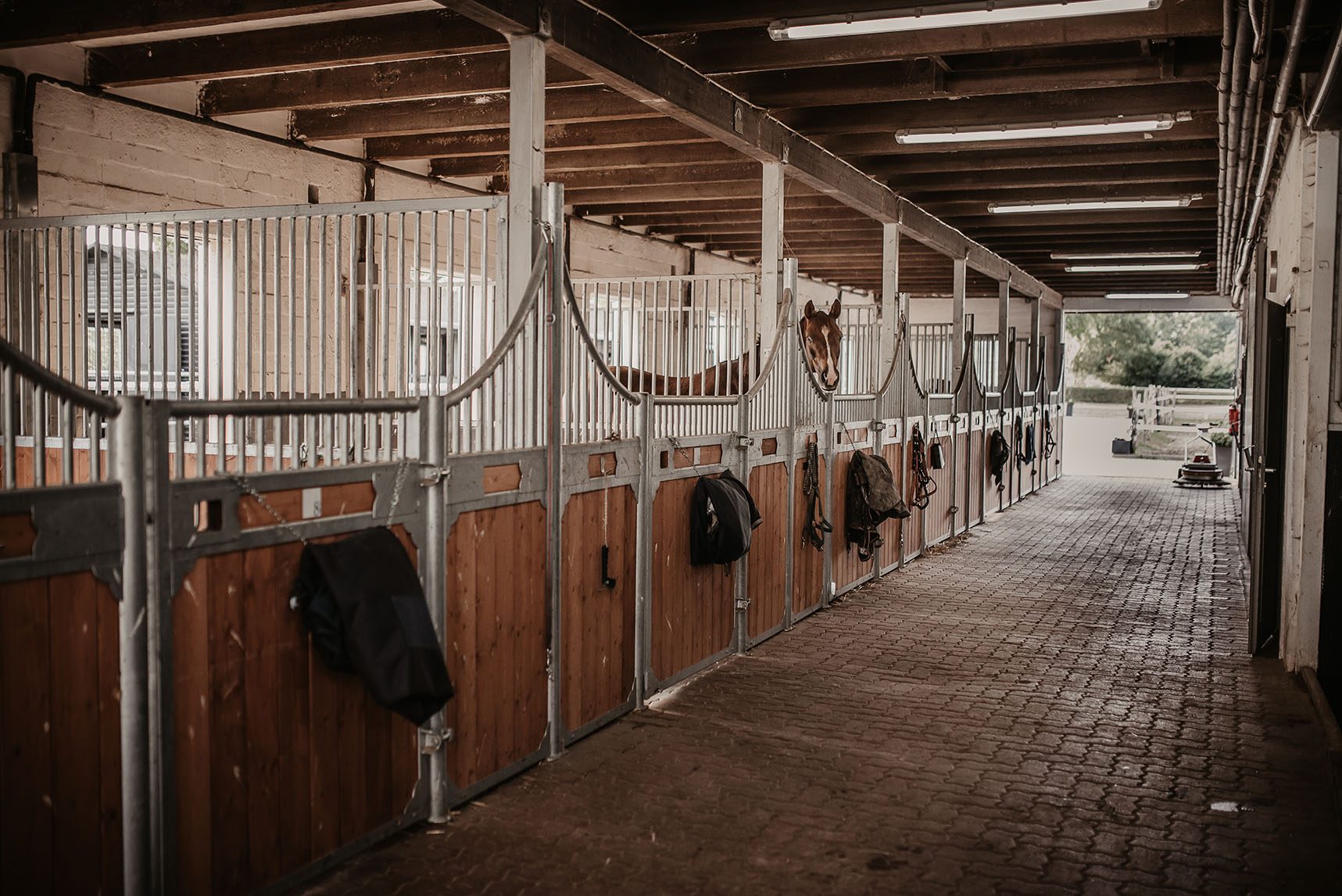 Stallgasse